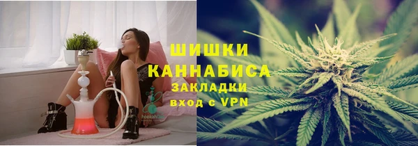 ГАЛЛЮЦИНОГЕННЫЕ ГРИБЫ Наволоки