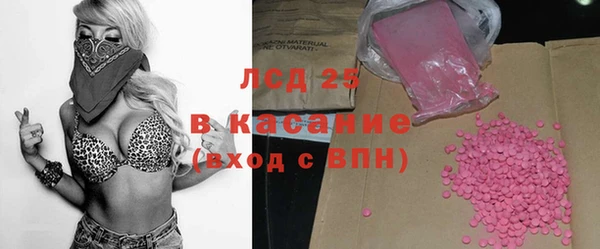 ГАЛЛЮЦИНОГЕННЫЕ ГРИБЫ Надым