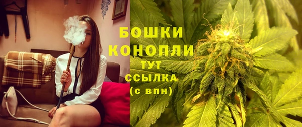 ГАЛЛЮЦИНОГЕННЫЕ ГРИБЫ Наволоки