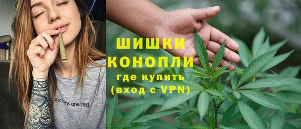 ГАЛЛЮЦИНОГЕННЫЕ ГРИБЫ Надым