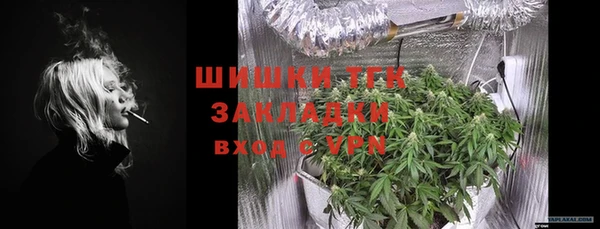 ГАЛЛЮЦИНОГЕННЫЕ ГРИБЫ Наволоки