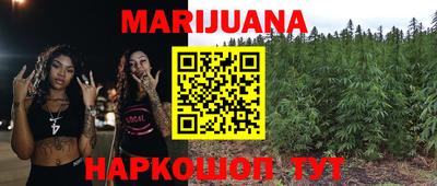 прущие грибы Абинск