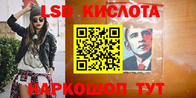 прущие грибы Абинск
