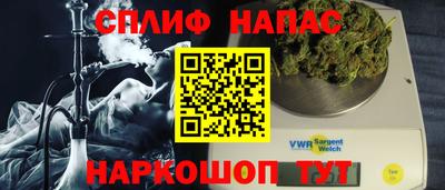 прущие грибы Абинск