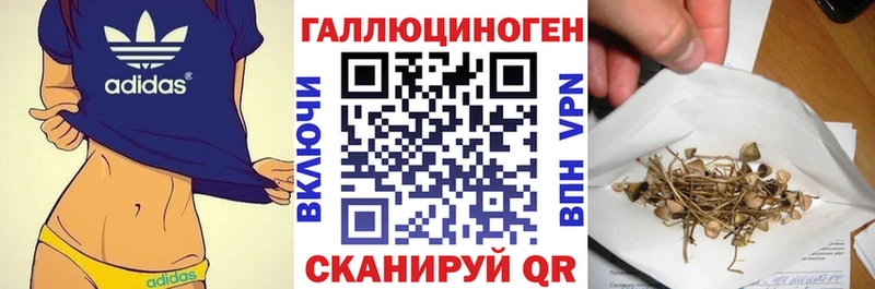 blacksprut   Азнакаево  Псилоцибиновые грибы мицелий 