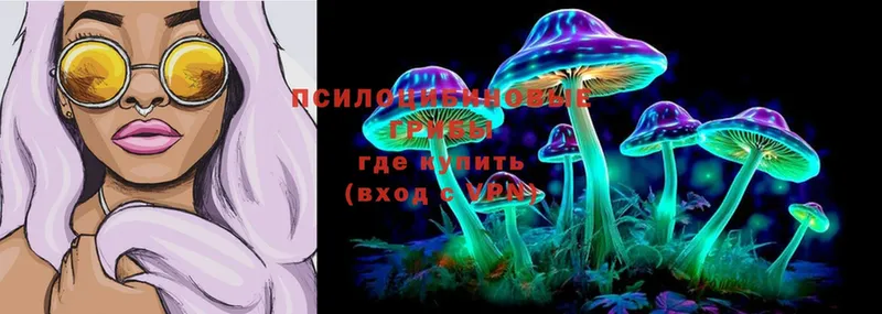 Псилоцибиновые грибы Psilocybe  Азнакаево 