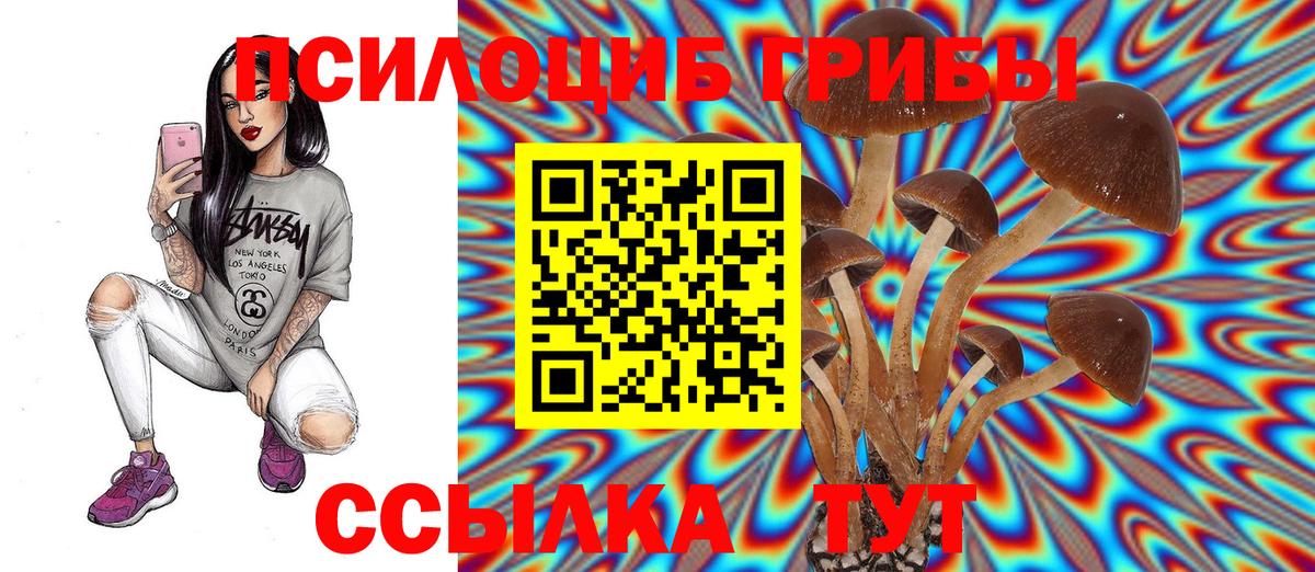 Псилоцибиновые грибы ЛСД Азнакаево