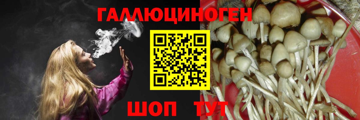 Псилоцибиновые грибы мицелий  Азнакаево 